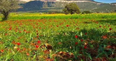 Участок земли в Полеми, Кипр
