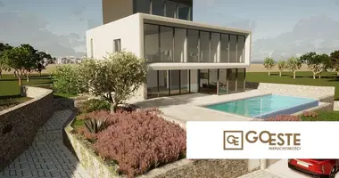 Maison 4 chambres dans Opcina Dezanovac, Croatie