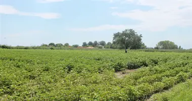 Działka w Paralia, Grecja