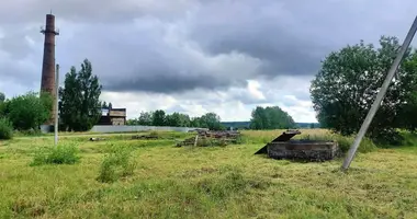 Коммерческое помещение 300 м² в Старое Село, Беларусь