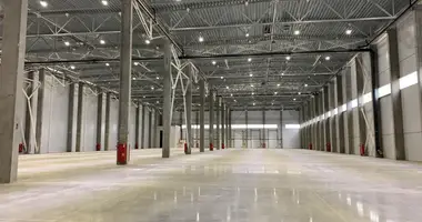 Warehouse 15 000 m² in Obukhovo, Russia