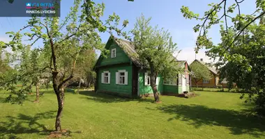 Haus in Taujeneliai, Litauen
