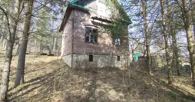 House in Rakauski sielski Saviet, Belarus