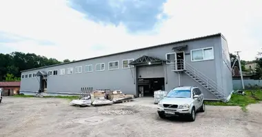 Склад 5 500 м² в Петровское, Россия