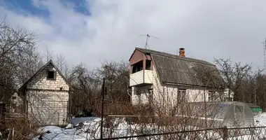 House in Dubrauski sielski Saviet, Belarus