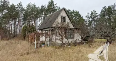 Maison dans Znamienski sielski Saviet, Bélarus