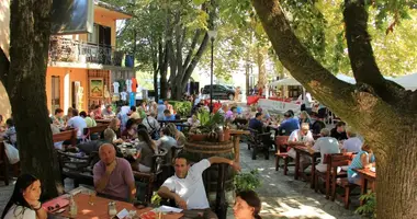 Commercial property 276 m² in Virpazar, Montenegro