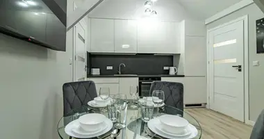 1 room apartment in Zamyslowo, Poland