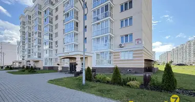 Apartment in Minsk, Belarus
