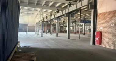Almacén 3 000 m² en Leninsky District, Rusia