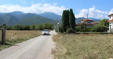 Terrain dans Leptokarya, Grèce