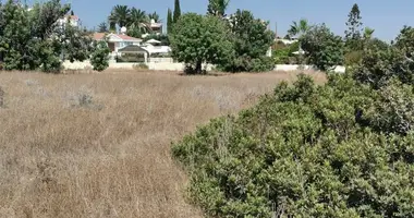 Grundstück in Paphos, Zypern