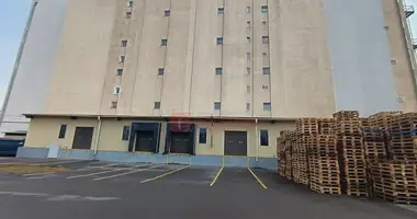 Lager 816 m² in Scomyslicki sielski Saviet, Belarus