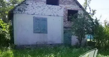 Haus in Telminski sielski Saviet, Belarus