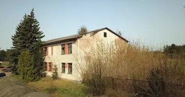 Propriété commerciale 464 m² dans Varena, Lituanie