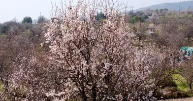 Apartamento en Kato Platres, Chipre