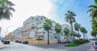Apartamento 1 habitacion en Torrelamata, Španjolska
