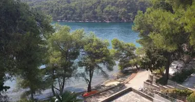 Hôtel 220 m² dans Vrboska, Croatie
