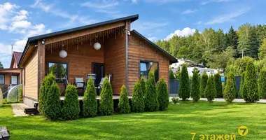 House in Papiarnianski sielski Saviet, Belarus