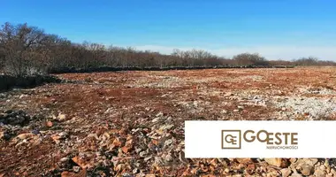 Участок земли в Opcina Dezanovac, Хорватия