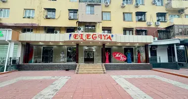 Commercial property in Tashkent, Uzbekistan