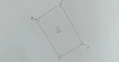 Dom w Papiarnianski sielski Saviet, Białoruś