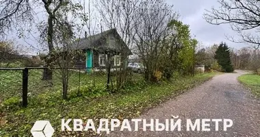 Dom w Haradocki sielski Saviet, Białoruś