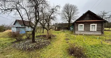 Haus in Hrabionka, Belarus