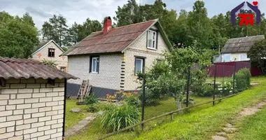 House in Rakauski sielski Saviet, Belarus