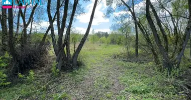 Plot of land in Dubiai, Lithuania