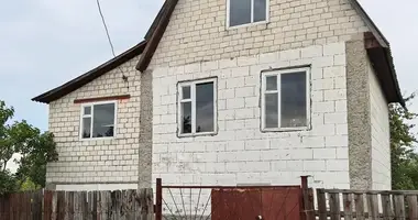 House in Barscouski sielski Saviet, Belarus