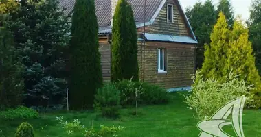 Haus in Lieninski sielski Saviet, Belarus