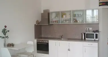 Appartement 1 chambre dans okres Brno mesto, République tchèque