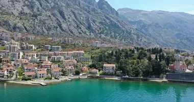 2 room apartment in Montenegro