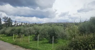 Grundstück in Provinz Agios Nikolaos, Griechenland