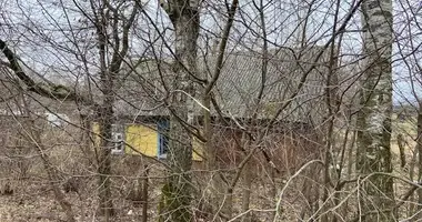 Casa en Vysokaje, Belarús