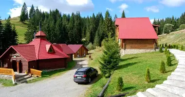 Andere 377 m² in Yablunytsia, Ukraine