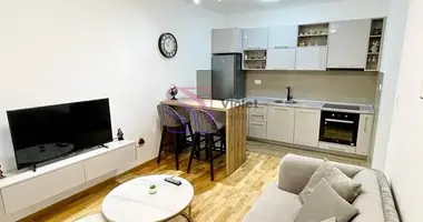 Wohnung 1 zimmer in Podgorica, Montenegro