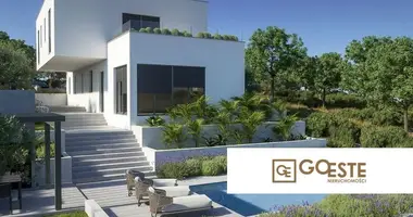 4 room house in Opcina Dezanovac, Croatia
