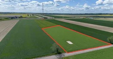 Działka w Gołuski, Polska