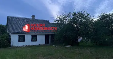 House in Sapockinski sielski Saviet, Belarus