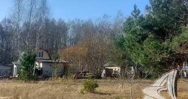 Plot of land in Carnaucycki sielski Saviet, Belarus