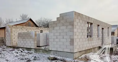 House in Carnaucycki sielski Saviet, Belarus