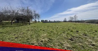Grundstück in Lahojsk selsaviet, Belarus