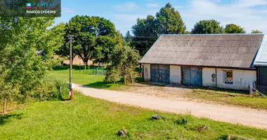 Gewerbefläche 179 m² in Azulauke, Litauen