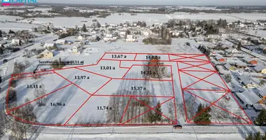 Terrain dans Vileikiskiai, Lituanie