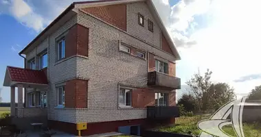 House in Matykalski sielski Saviet, Belarus