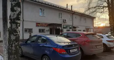 Investition 1 200 m² in Bor, Russland