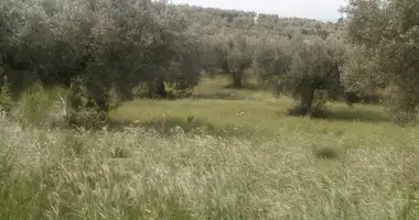 Terrain dans Municipality of Sithonia, Grèce