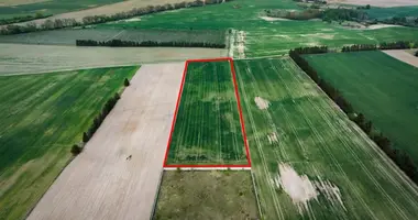 Parcela en Murowana Goslina, Polonia